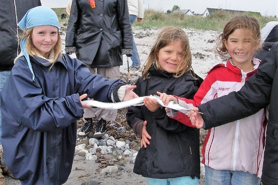 Børn Unge Hornfisk 9 (1)