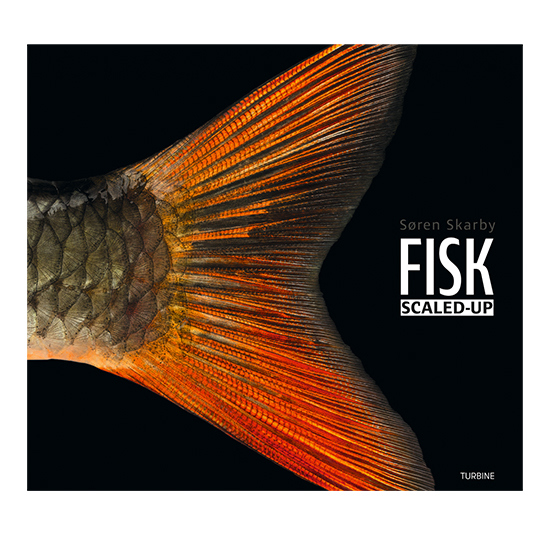 Grej 0014 FISK FORSIDE 2