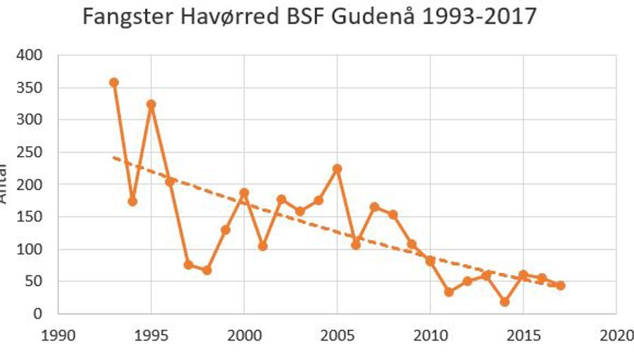 Udvikling i fangst havørred 1993 til 2017 BSF.JPG