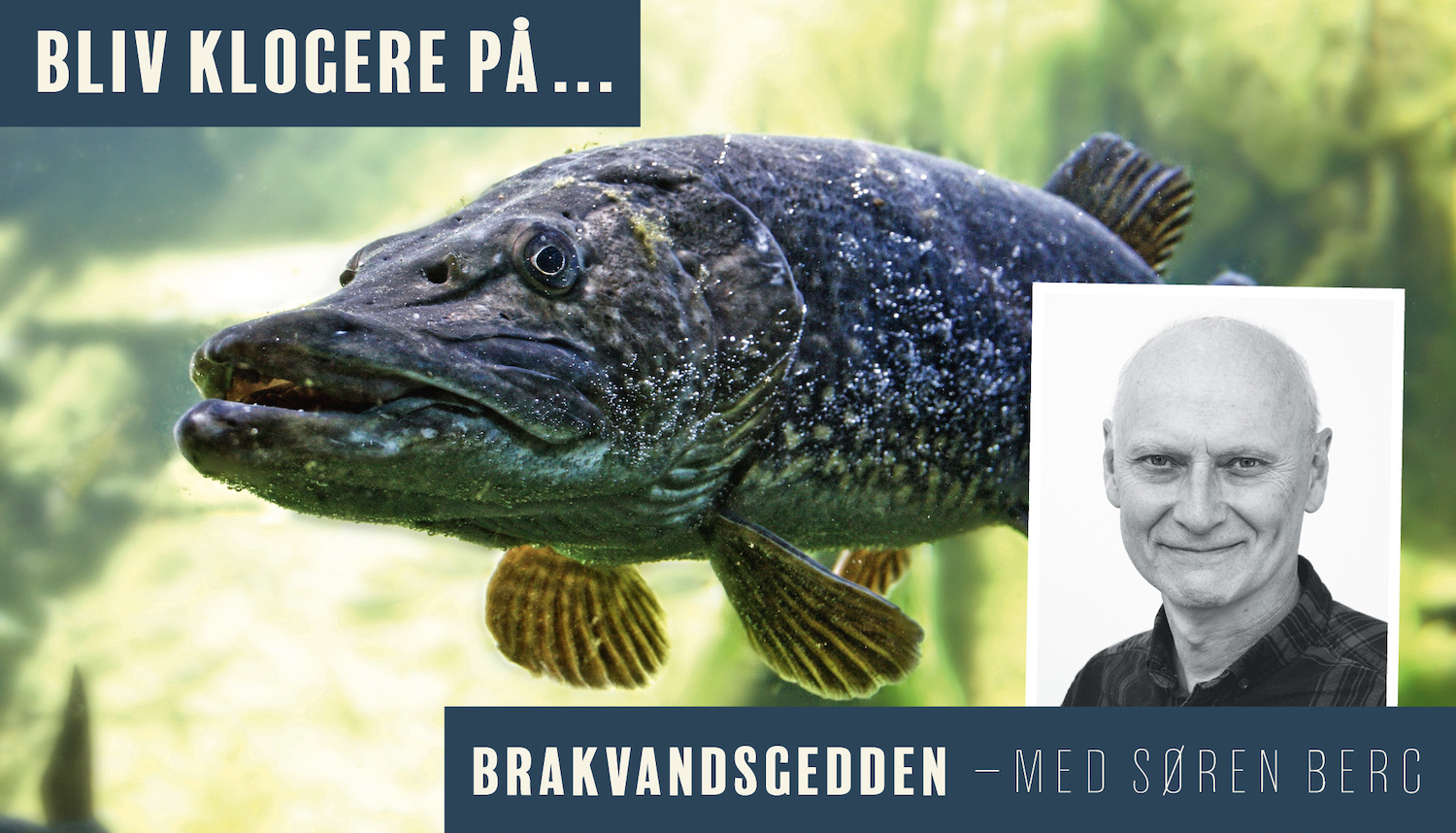 BLIV KLOGERE PÅ BRAKVANDSGEDDEN