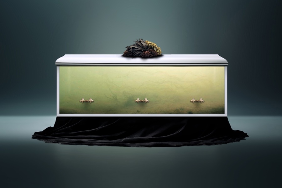 Aquarium Coffin Presentation FINAL Web