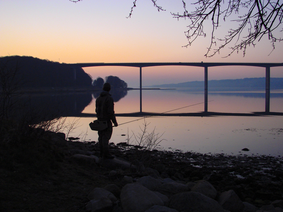Vejle_Fjord_broen_-_panoramio_1.JPG