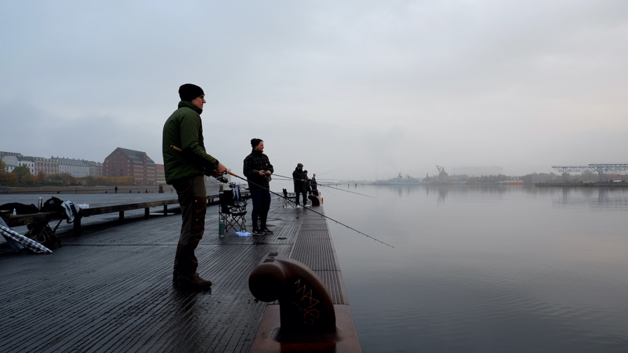 Fiskeri I København Havn