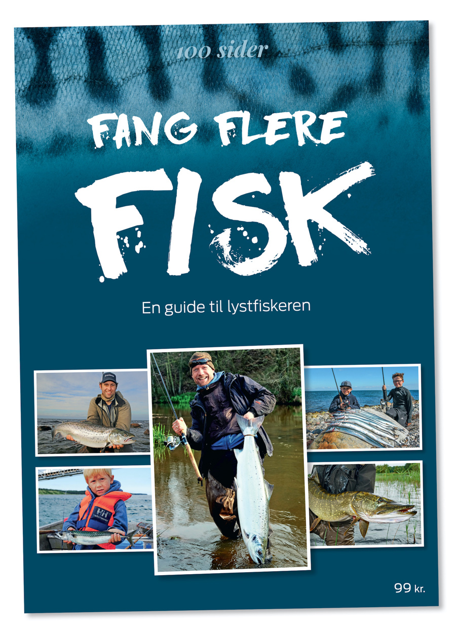 Fang Flere Fisk Cover