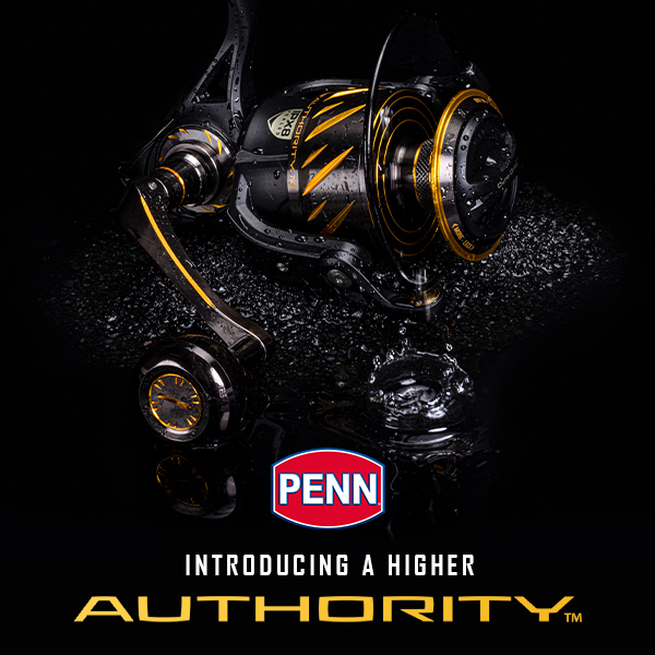 Penn Authority 600X600