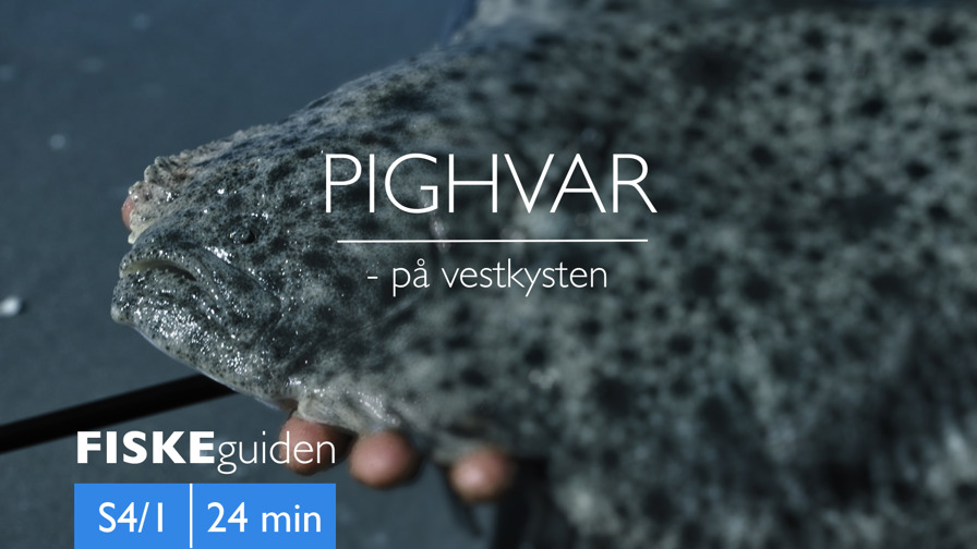 Fiskeguiden Pighvar Thumbnail