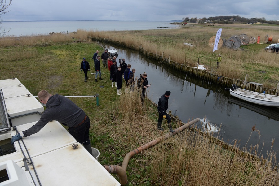 Nyt Landsdækkende Smoltvagt-projekt Skal Forbedre Lystfiskeriet